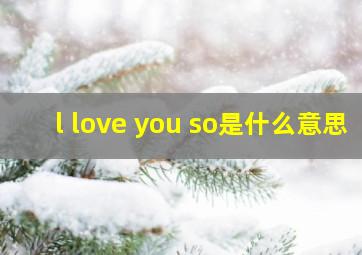 l love you so是什么意思